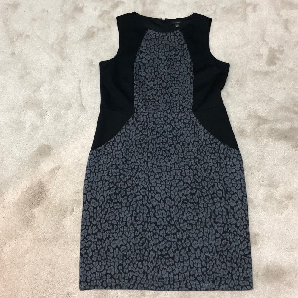 Ann Taylor dress